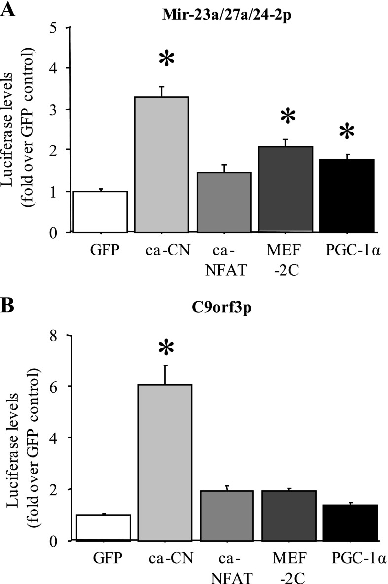 Fig. 9.