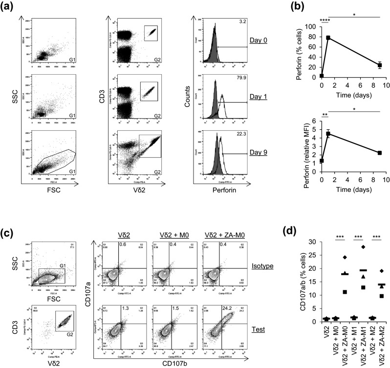 Fig. 3