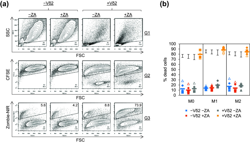 Fig. 2