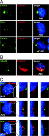 FIG. 3.