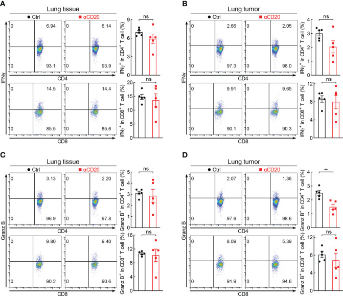 Figure 4