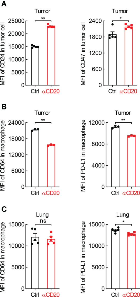 Figure 6