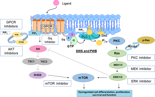 Figure 1: