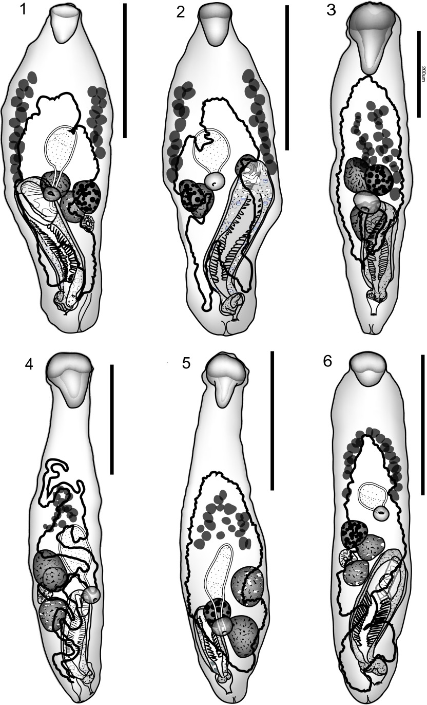 Figure 1–6.