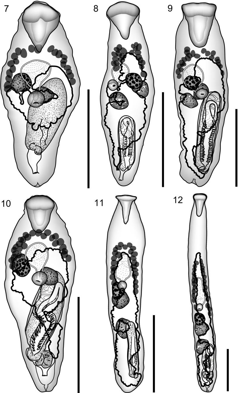 Figure 7–12.