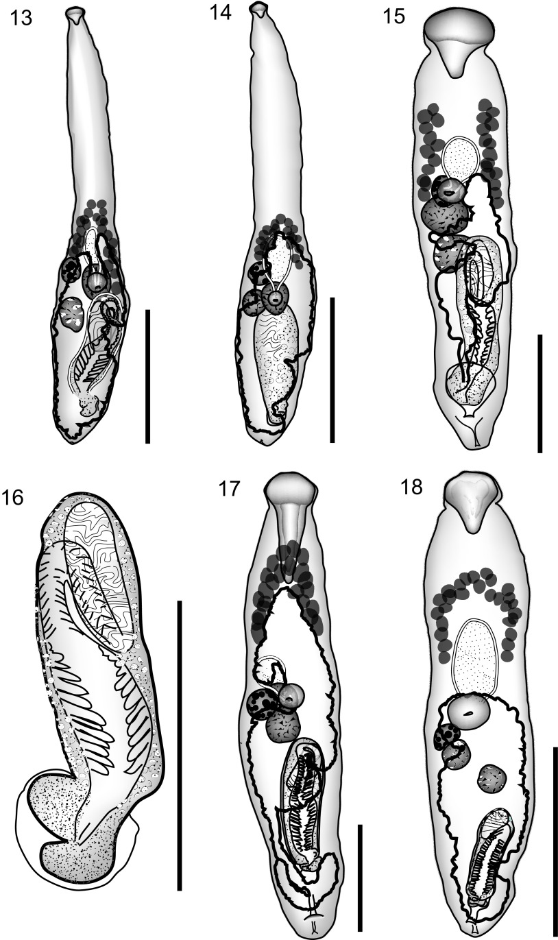 Figure 13–18.