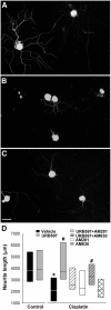 Figure 7.