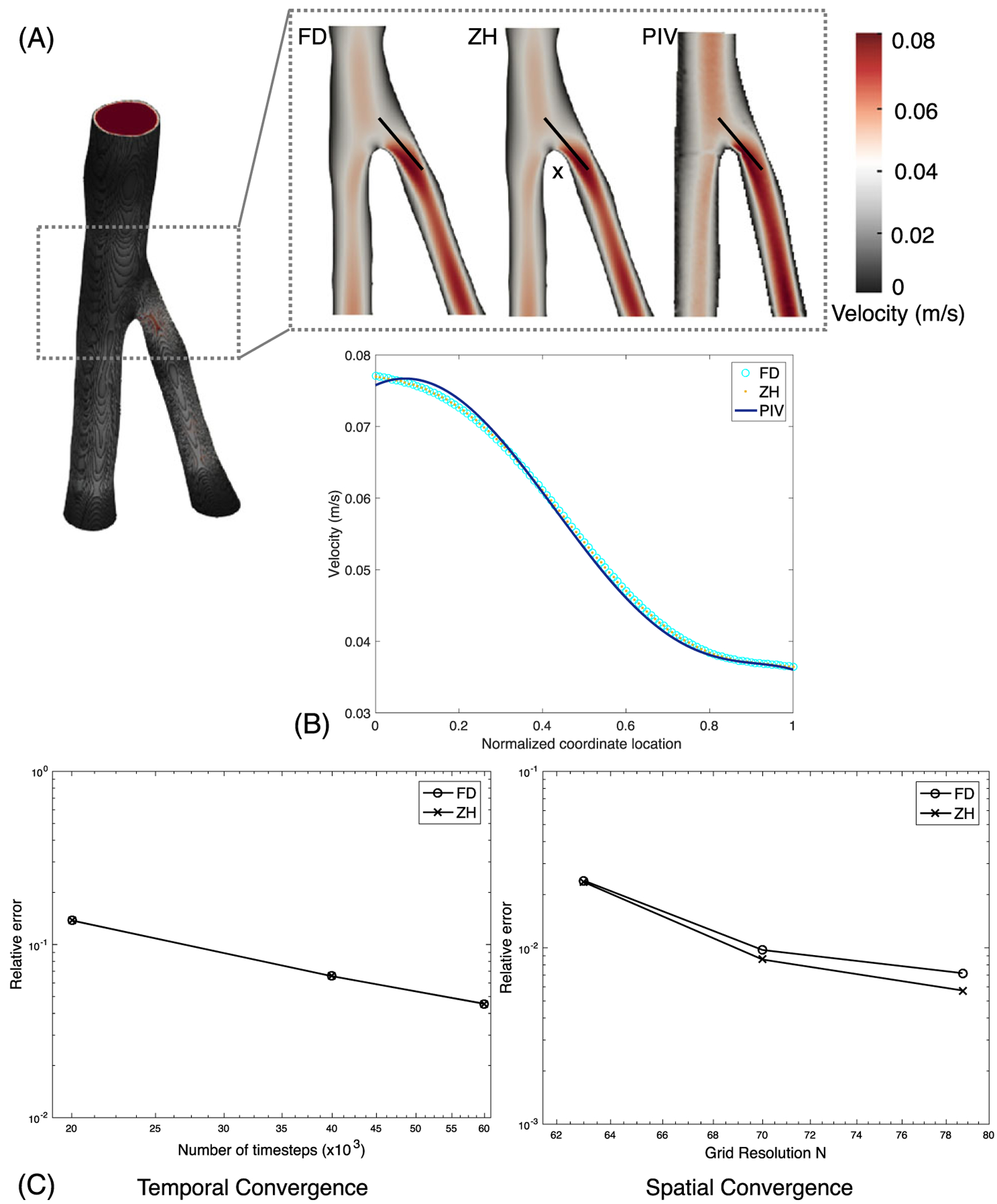 FIGURE 8