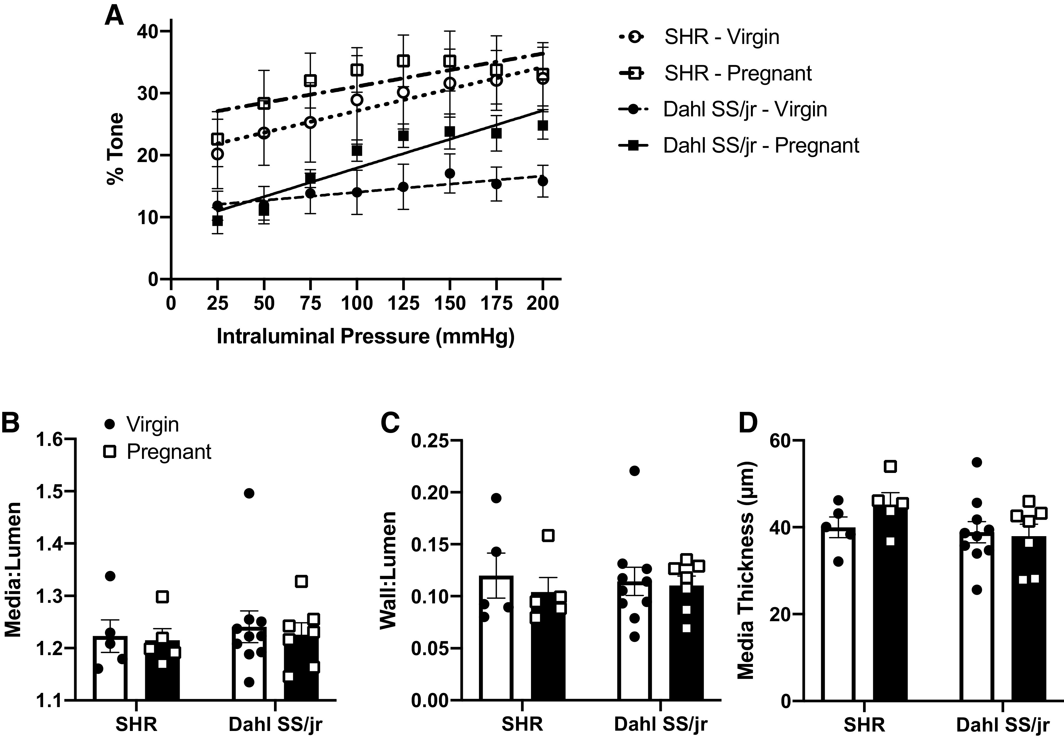 Figure 5.