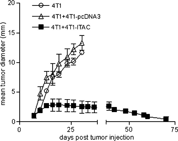 Fig. 6