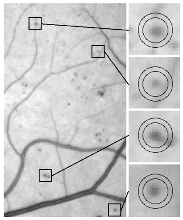 Fig. 4