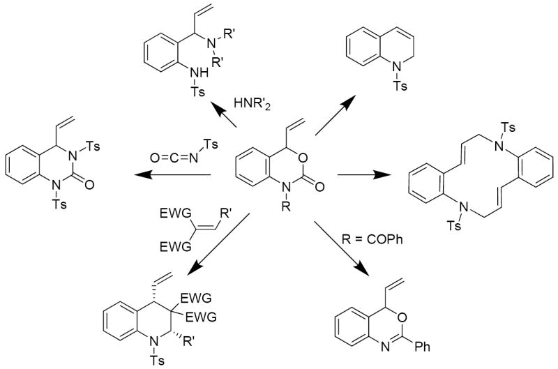 Scheme 17