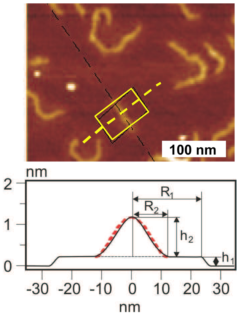 Figure 9