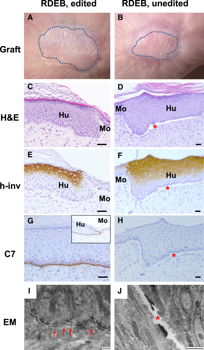 Figure 6