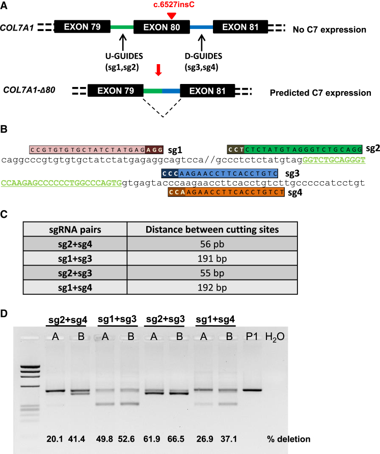 Figure 1