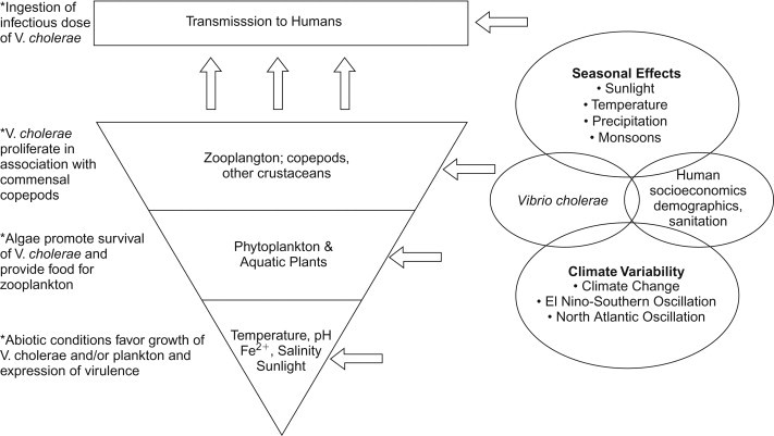 Figure 22.3