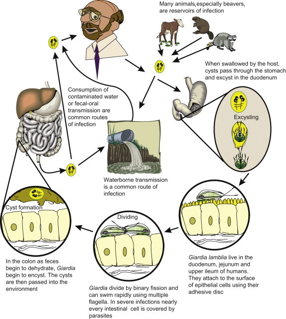 Figure 22.9