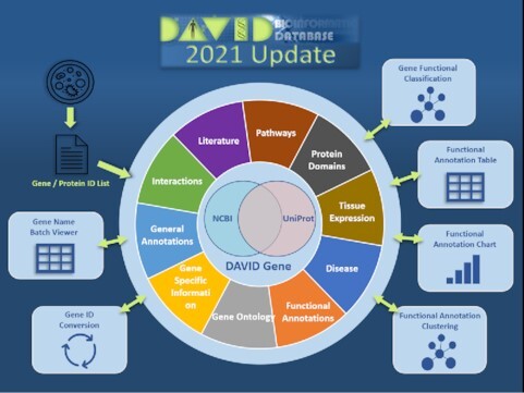 Graphical Abstract