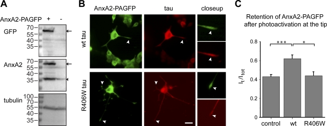 Figure 10.