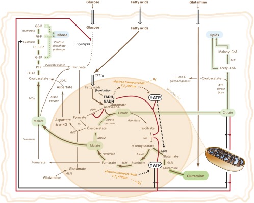 Fig. 6.