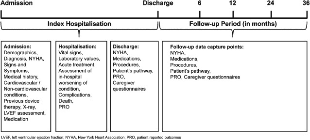 EJHF-262-FIG-0002-b