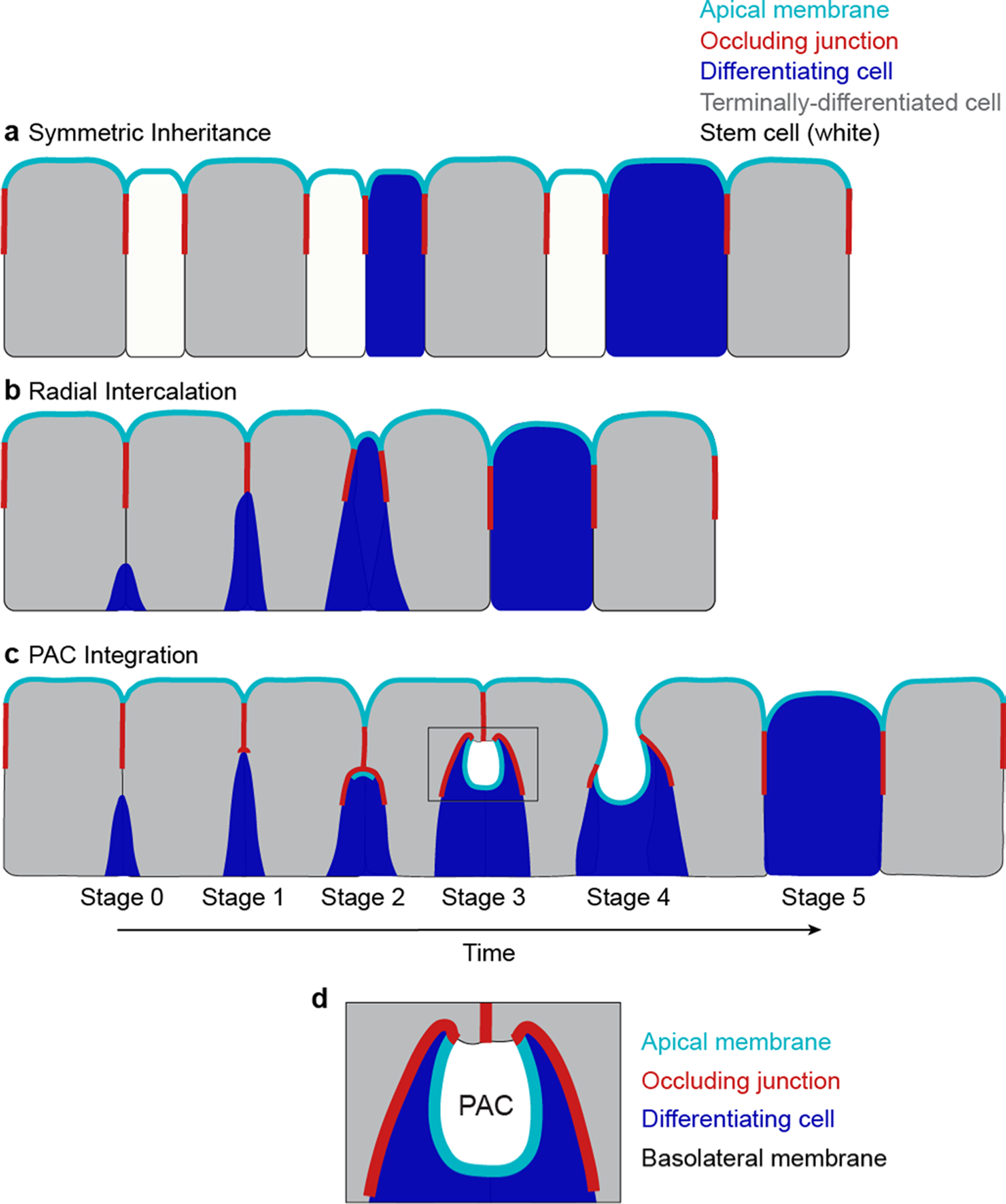 Extended Data Fig. 8 |