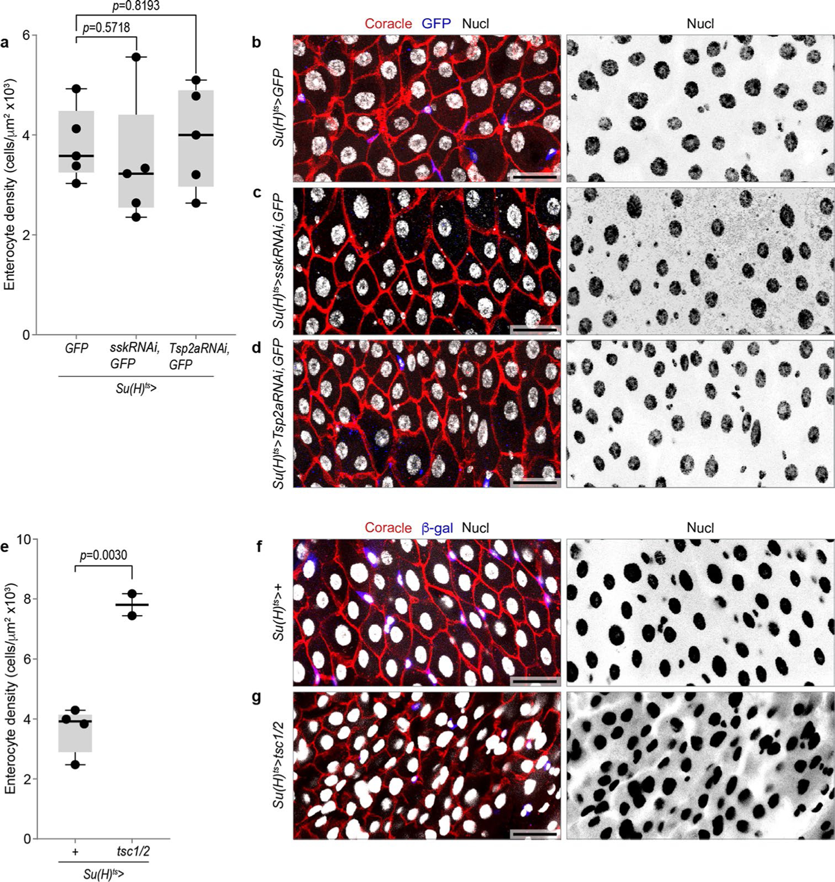 Extended Data Fig. 7 |