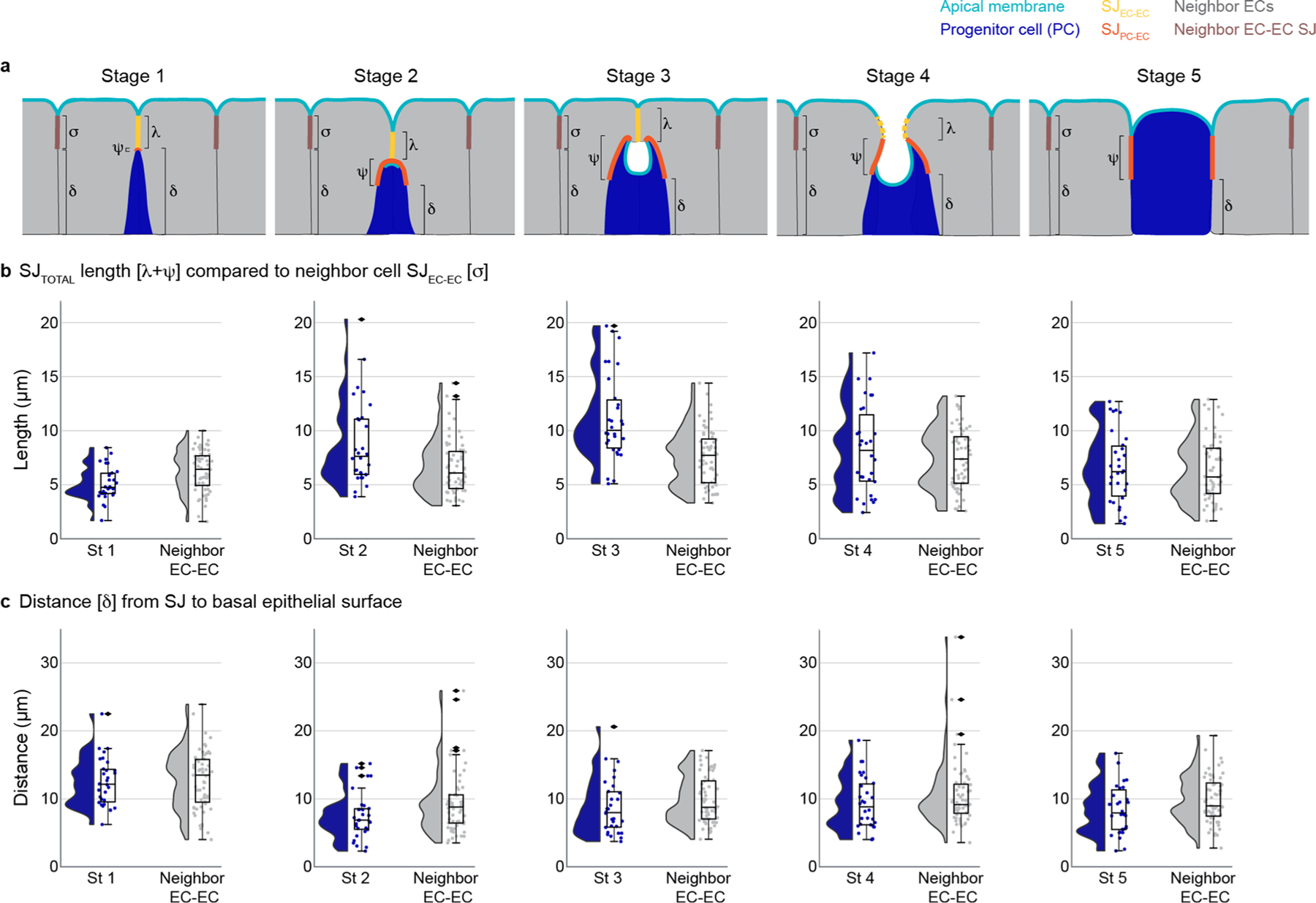 Extended Data Fig. 5 |