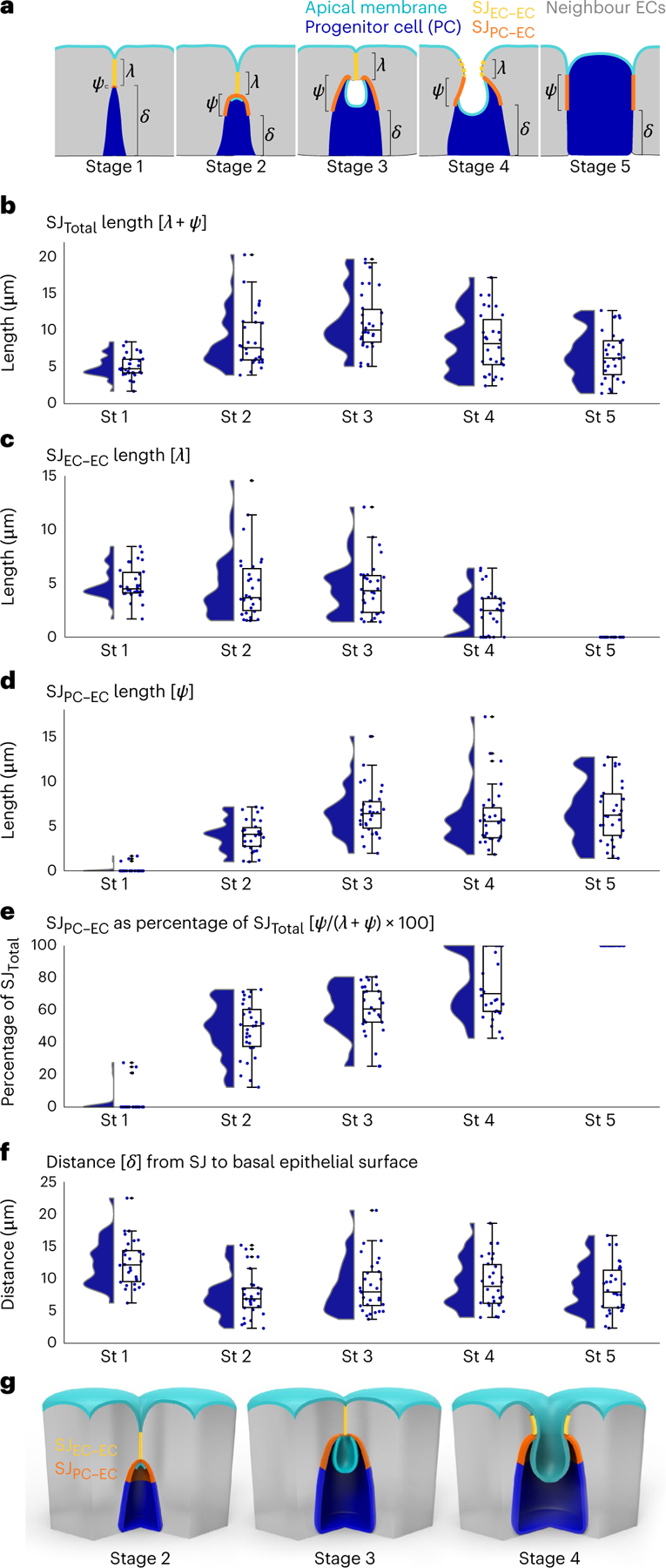 Fig. 4 |