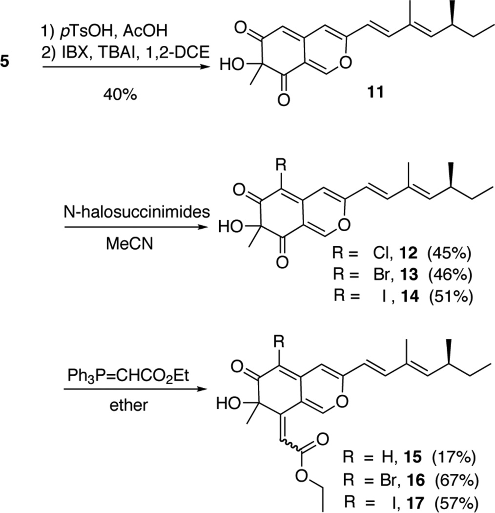 Scheme 3