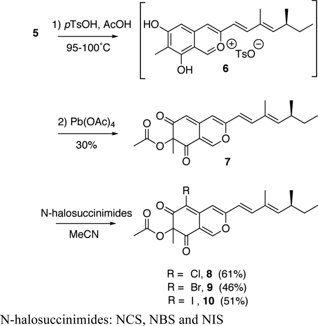 Scheme 2