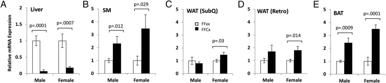 Figure 5.