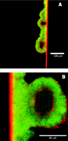 FIG. 3.