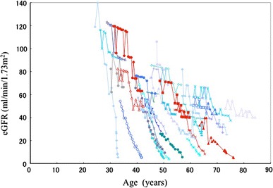 Fig. 4