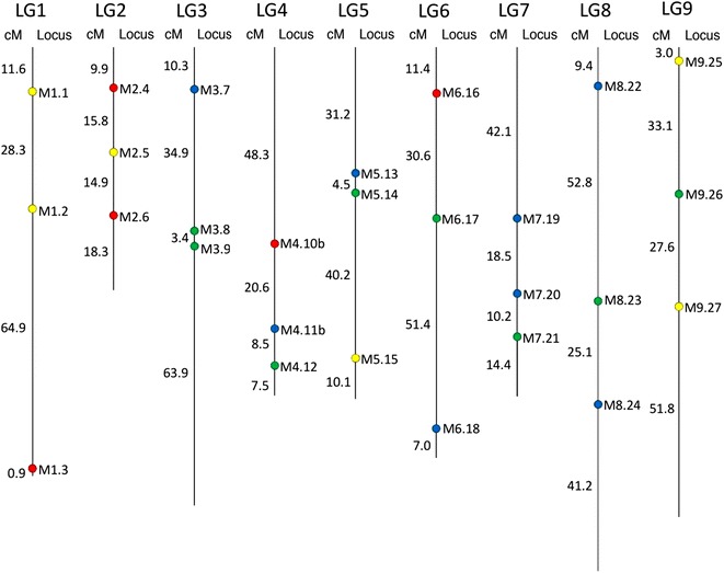 Fig. 4