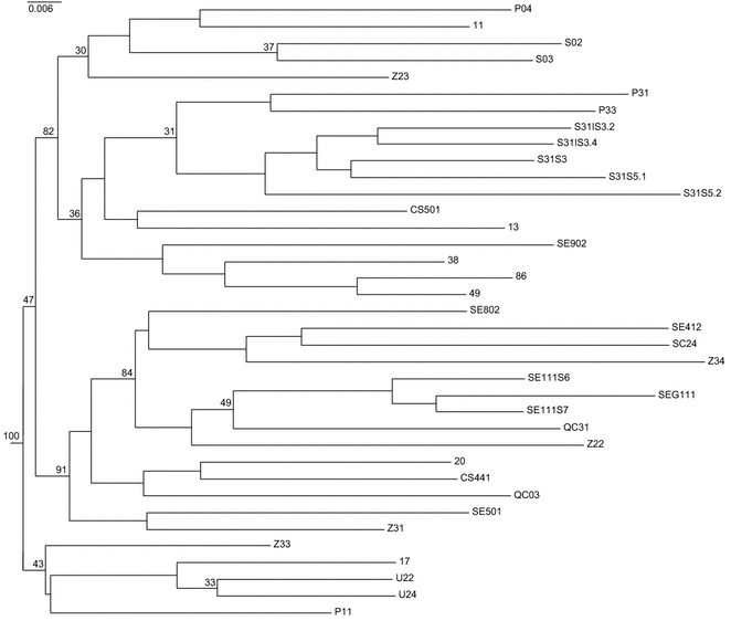 Fig. 2