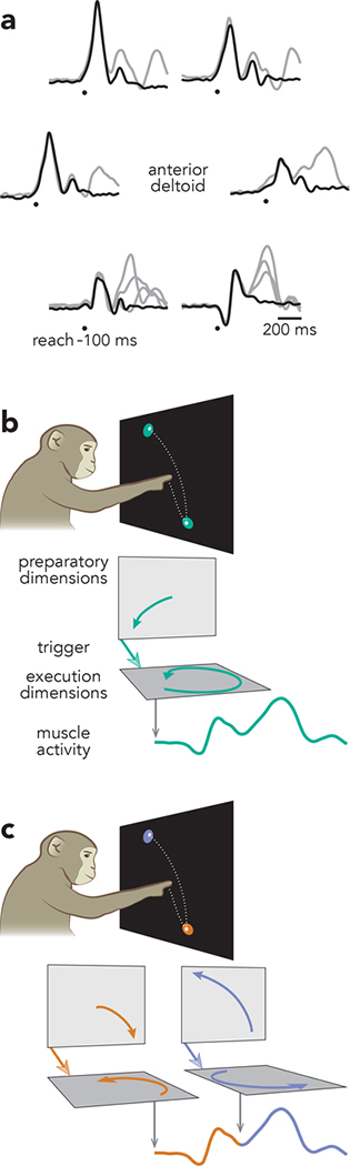 Fig. 2 |