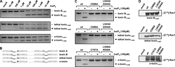 FIGURE 1.