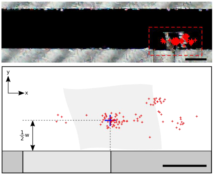 Figure 5: