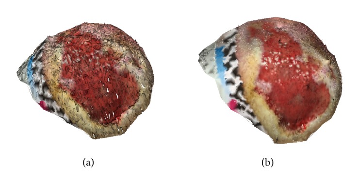 Figure 5