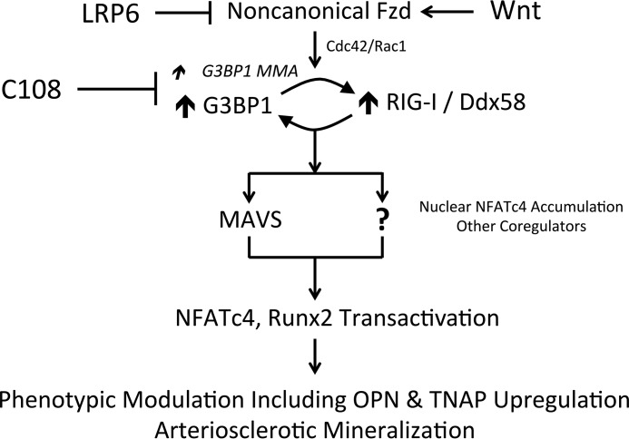 Figure 15.