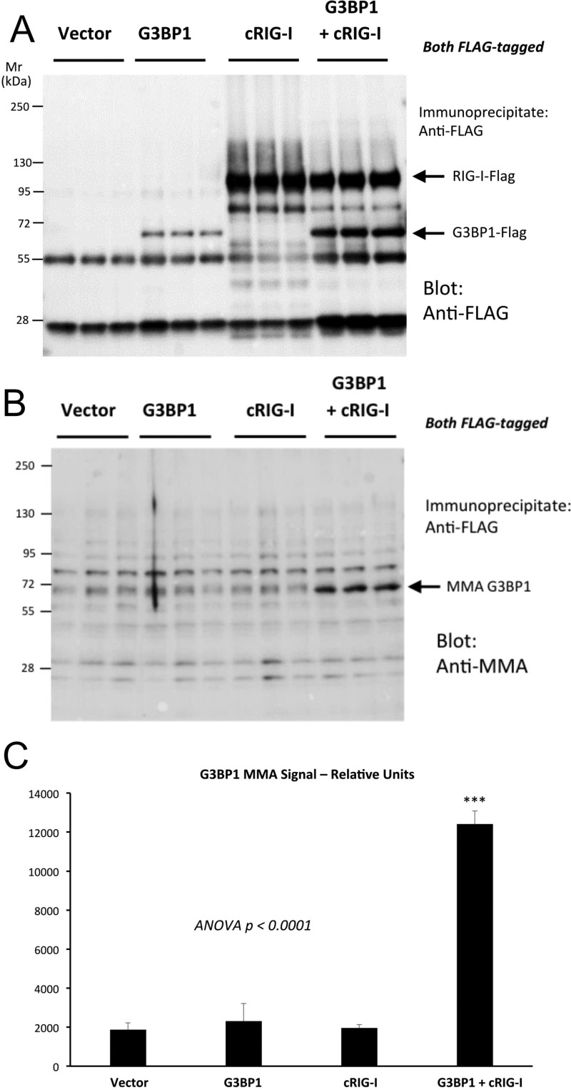 Figure 11.