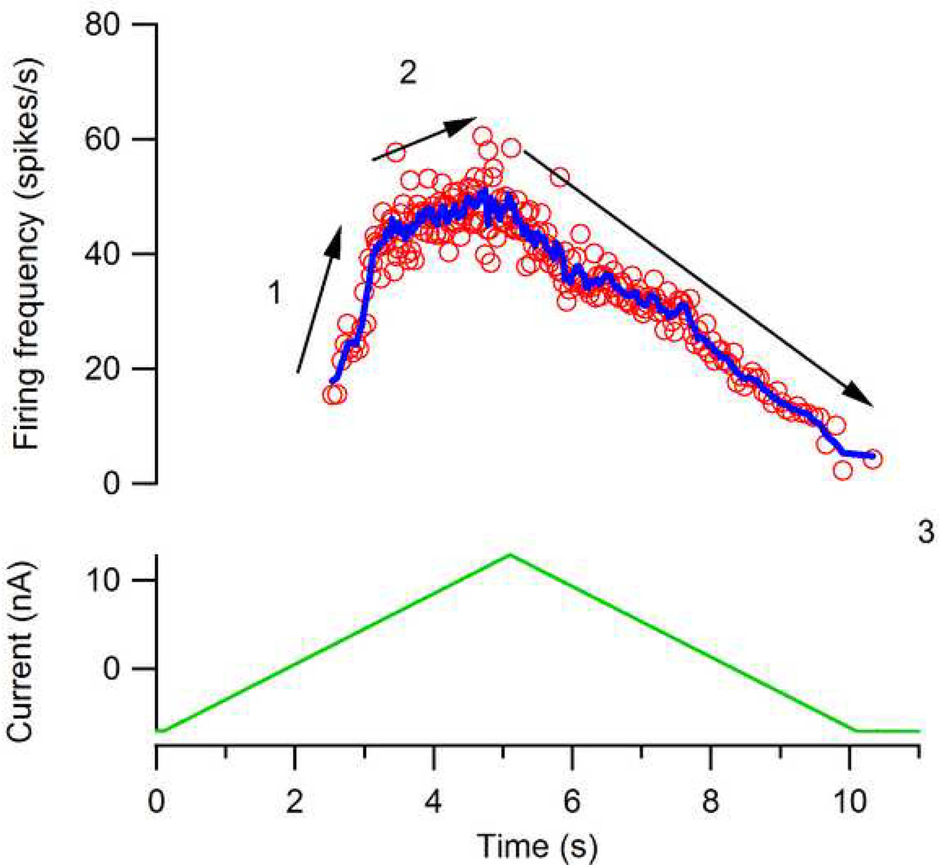 Figure 7: