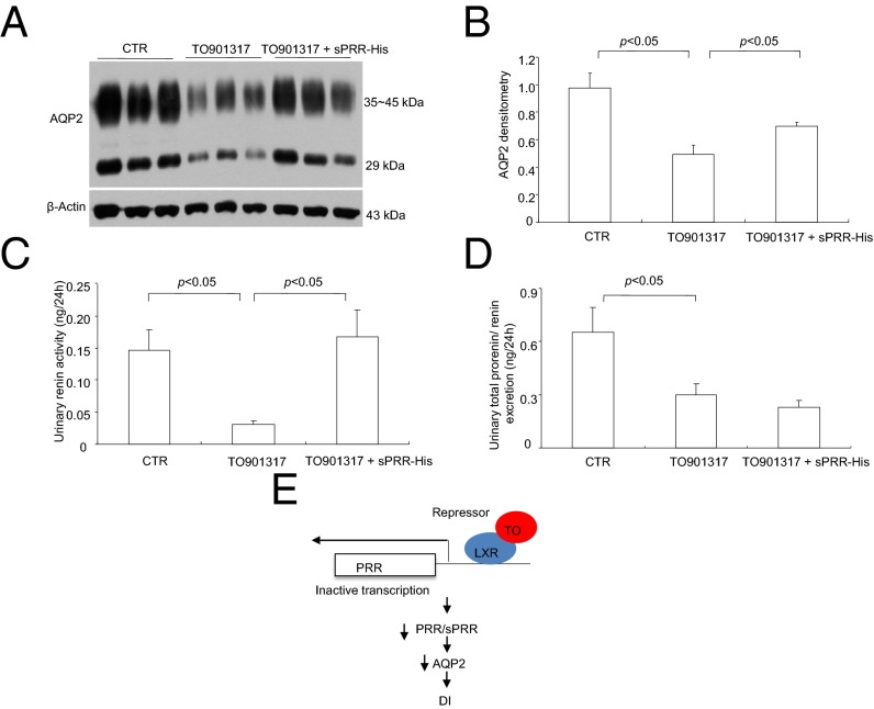 Fig. 11.