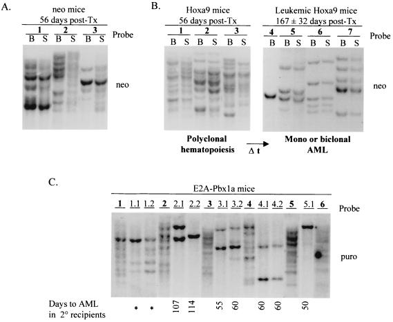 FIG. 7