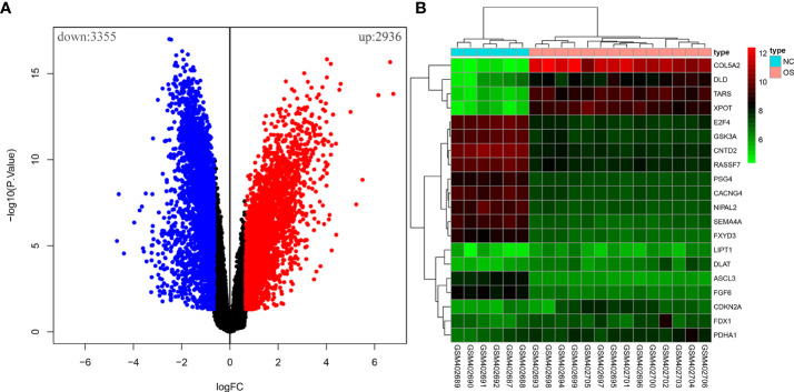 Figure 1