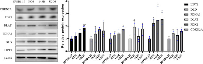 Figure 10