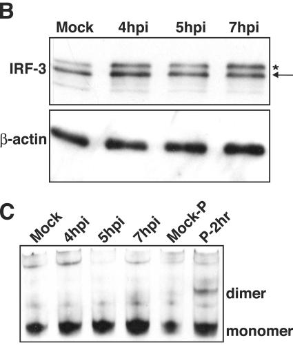 FIG. 5.