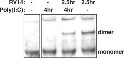 FIG. 8.