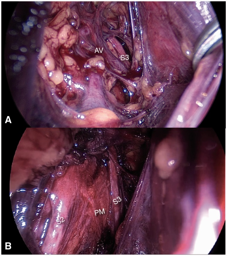 Fig. 8.